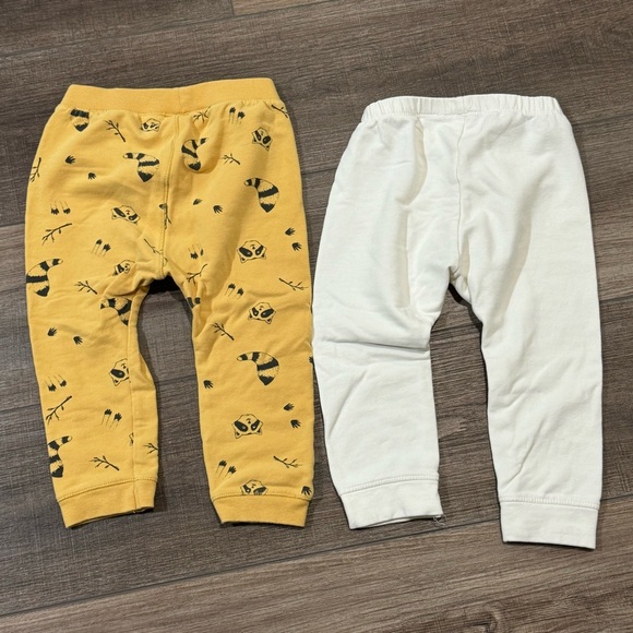 Zara Pants Set - Picture 2 of 3